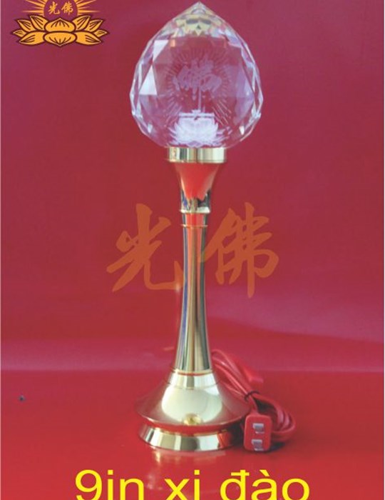 10 in xi Đ