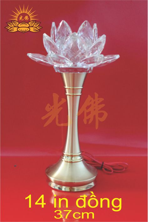 14in Đồng
