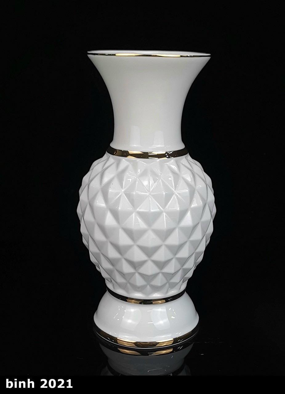 bình 2021 9in