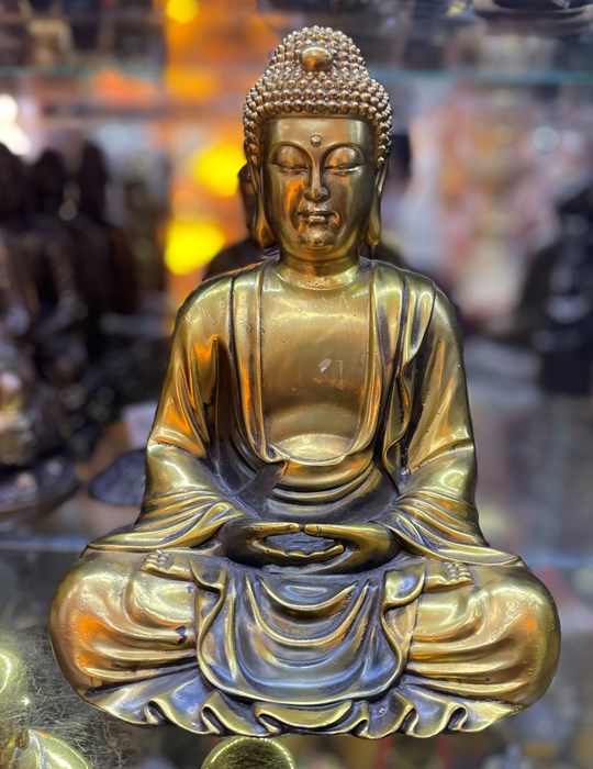 bổn sư thiền định 