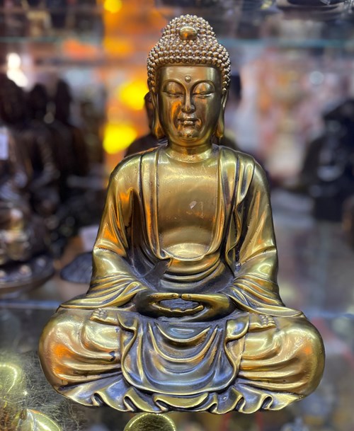 bổn sư thiền định 