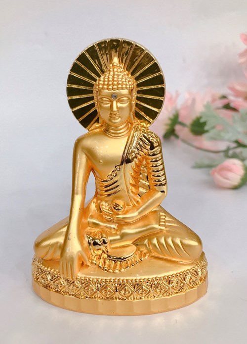 Bổn Sư Xi 01