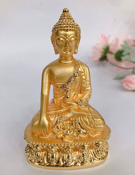 Bổn Sư Xi 02