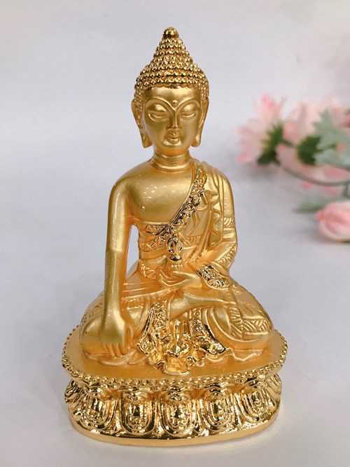 Bổn Sư Xi 02