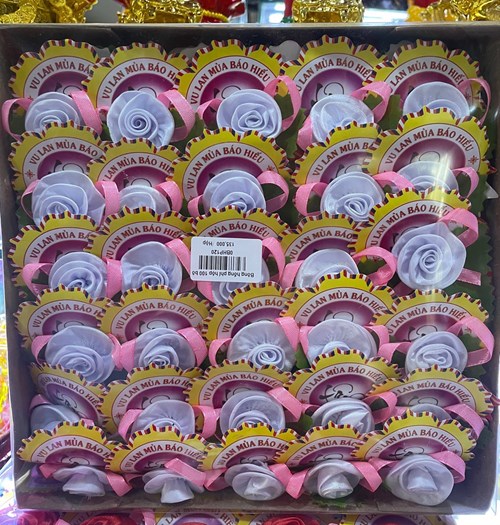 Bông Hồng Phi Trắng 100