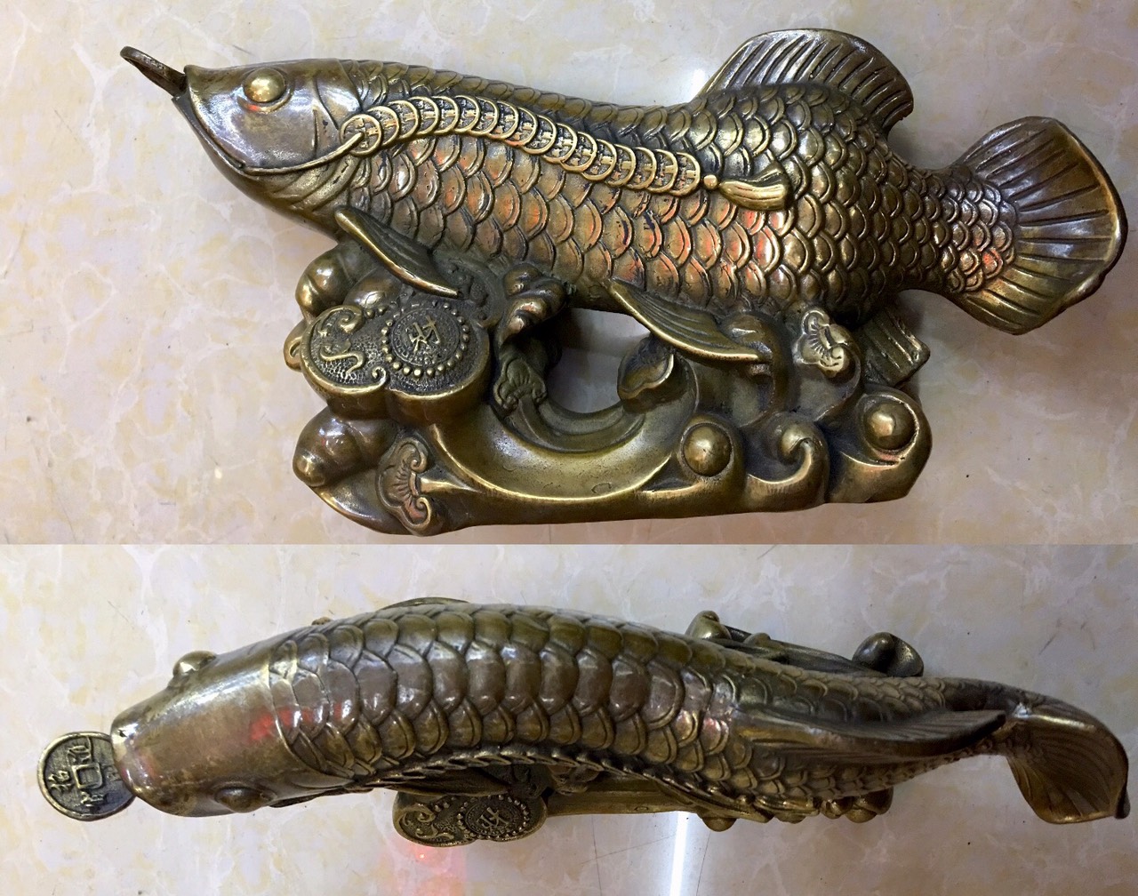 Cá Kim Long Lớn