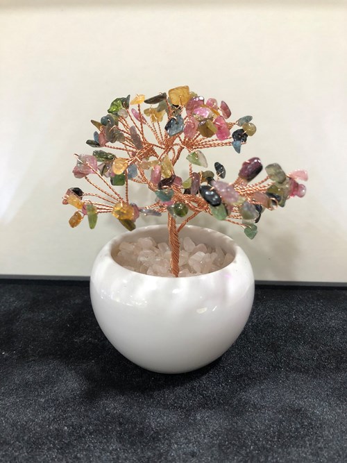Cây Thạch Anh Chậu Sứ Nhí 