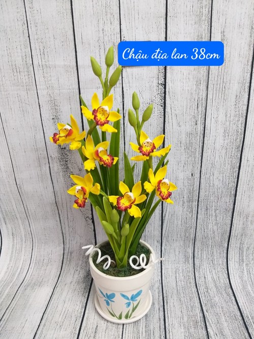 Chậu Hoa Địa Lan 38cm