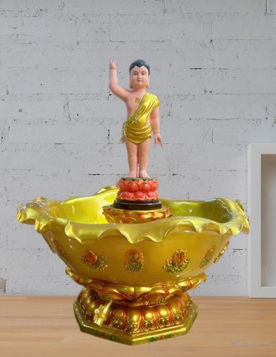 chậu lá cao cổ 