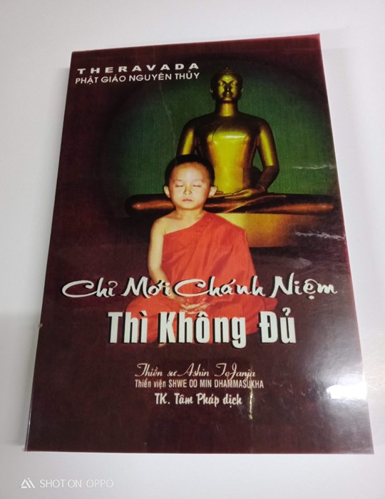 Chỉ Mỗi Chánh Niệm Thì Không Đủ
