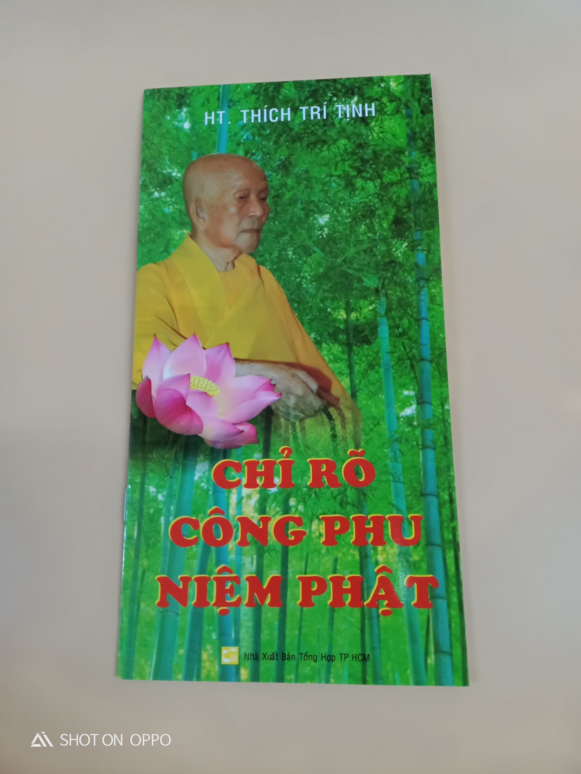 Chỉ rõ công phu niệm Phật