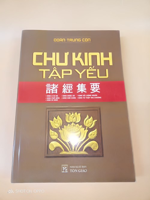 Chư kinh tập yếu