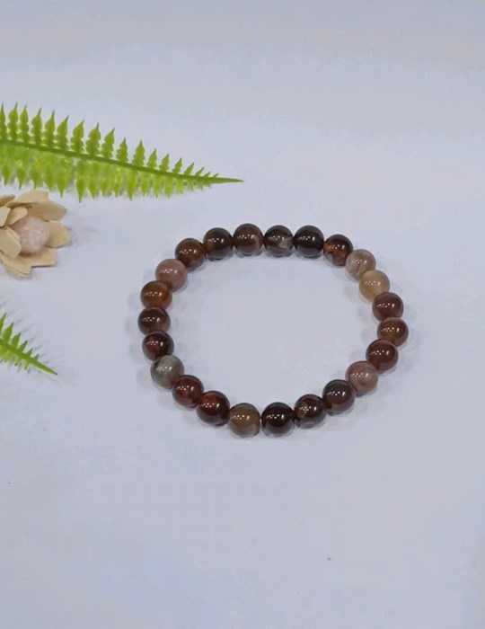 Chuỗi Gỗ Hoá Thạch 8li