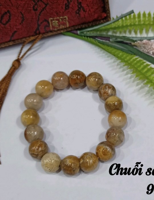 Chuỗi San Hô 12li