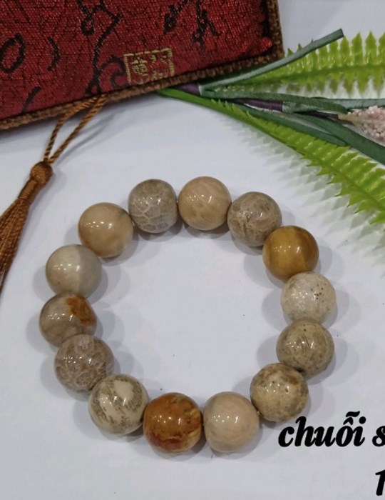 Chuỗi San Hô 14li