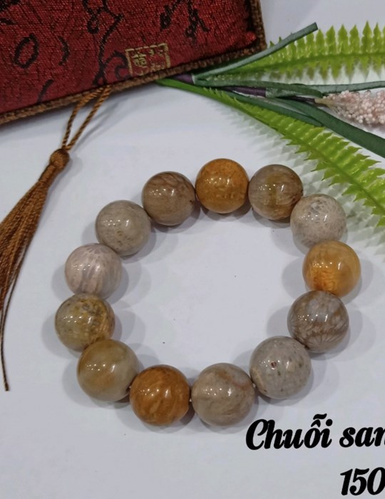 Chuỗi San Hô 16li