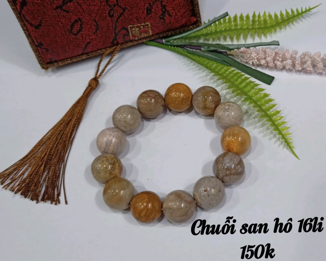 Chuỗi San Hô 16li