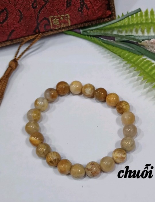 Chuỗi San Hô 8li