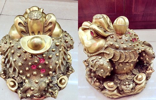 Cóc Cõng Vàng Đại
