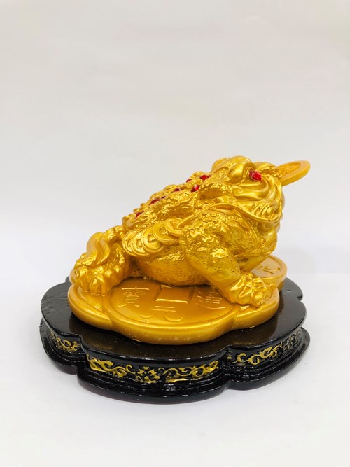 Cóc Nhũ Vàng Trung B02