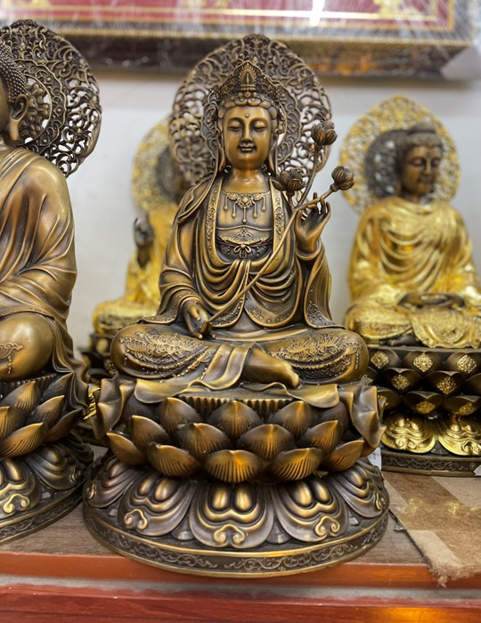 ĐẠI THẾ CHÍ CAO 48CM