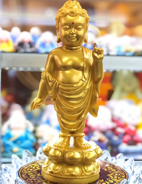 Đản Sanh 01 24cm NV