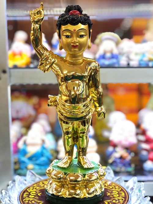 Đản Sanh 12 xi 27cm