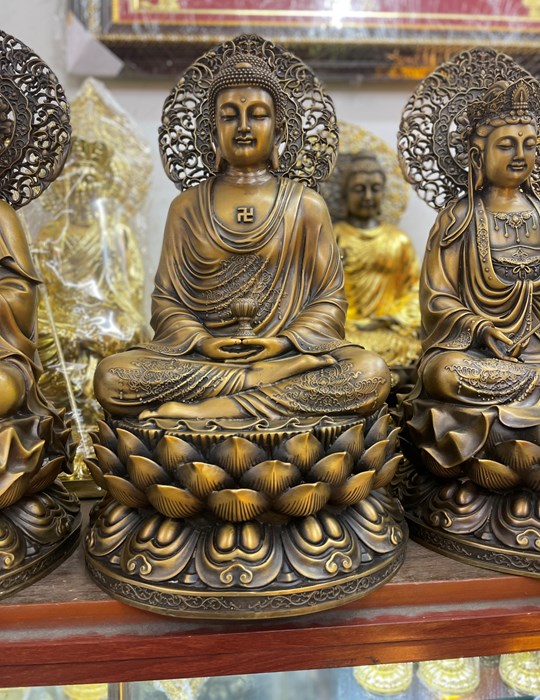 DI ĐÀ CAO 48CM