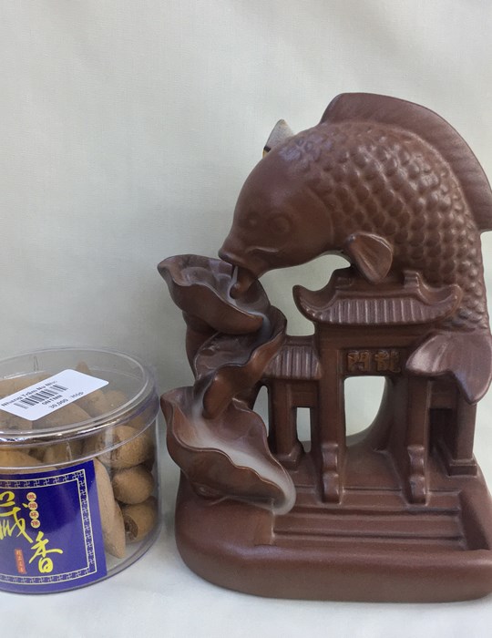 Đốt 6728