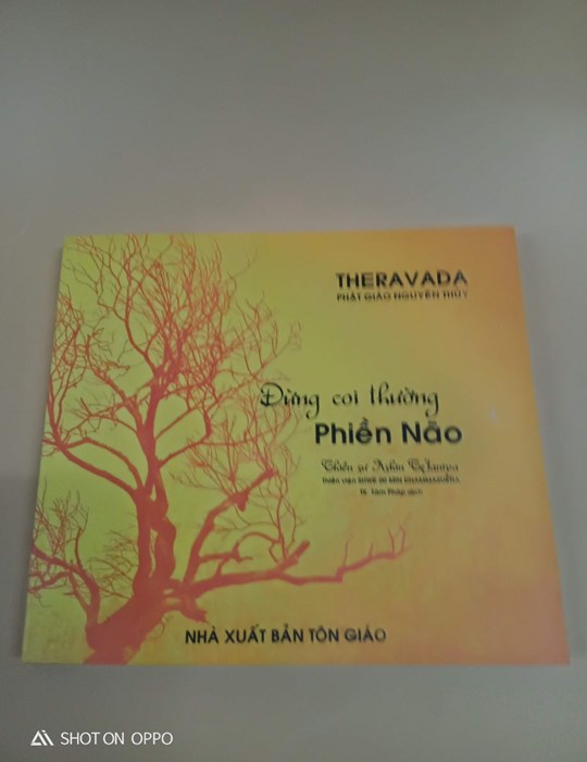 Đừng Coi Thường Phiền Não