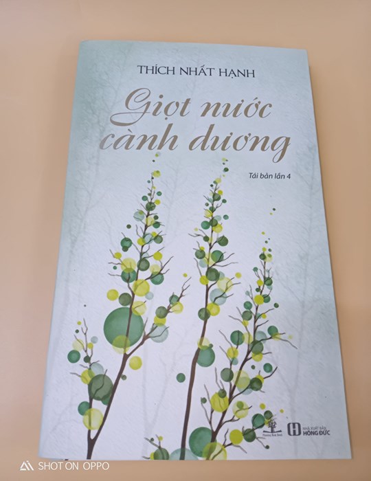 Giọt nước cành dương