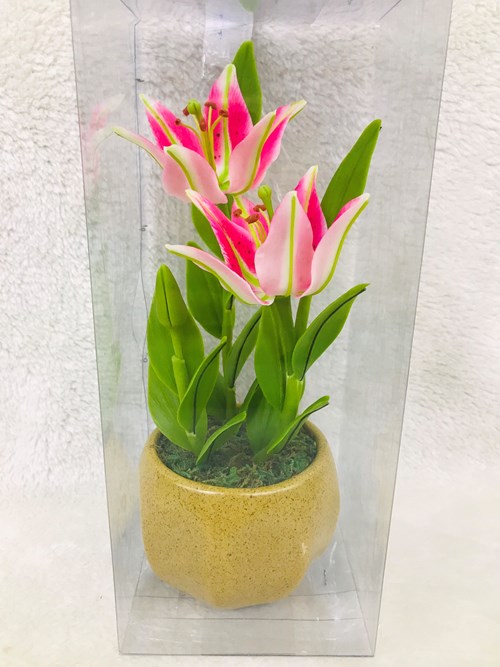 Hoa lily 110