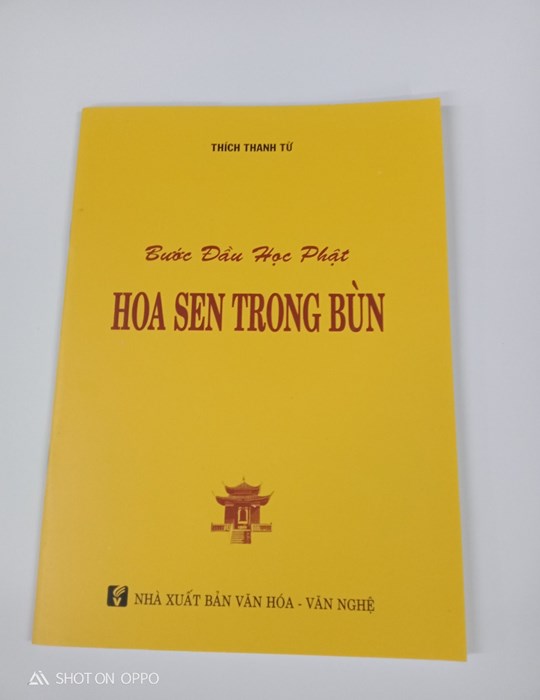 Hoa Sen Trong Bùn