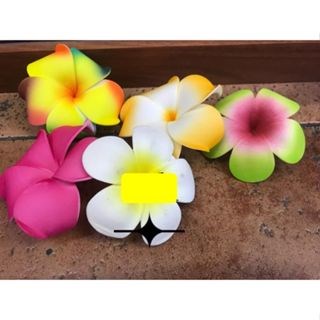 Hoa Sứ Thả Nước