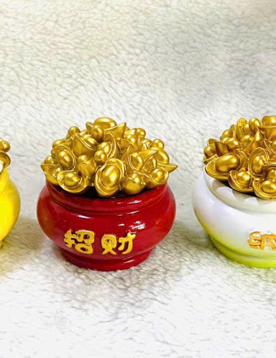 Hủ muối gạo