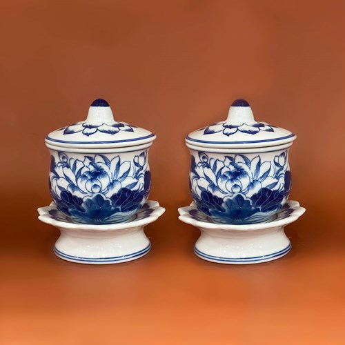 Hủ sen S2 VPTA