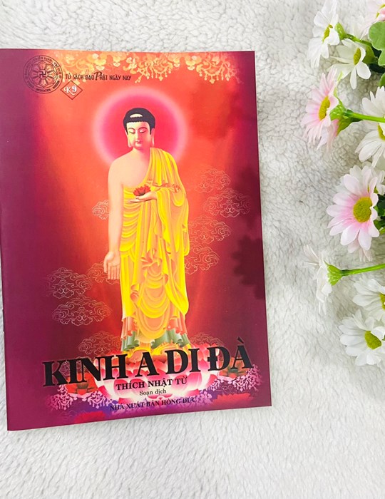 Kinh A Di Đà - Thầy Thích Nhật Từ