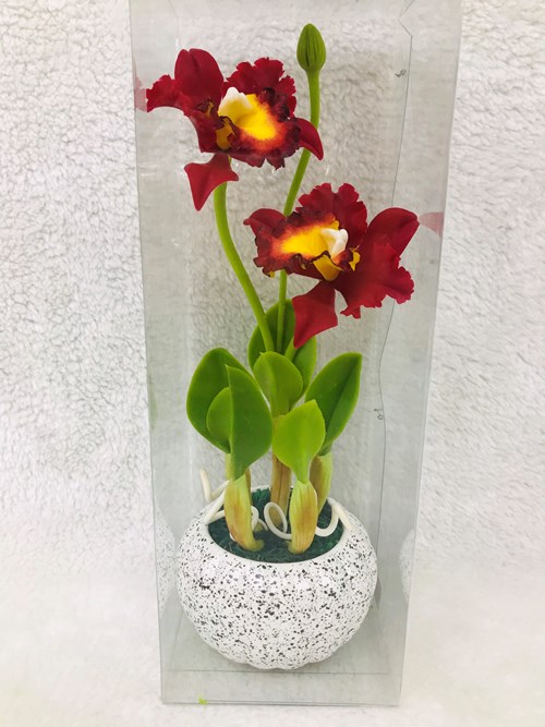 Lan Hoàng Hậu Đỏ