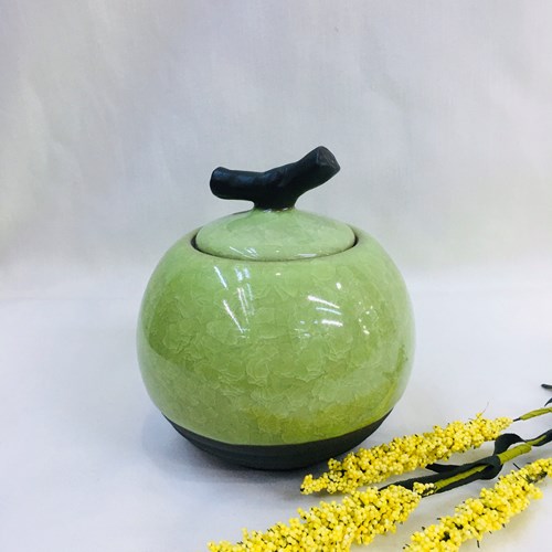 Lọ chè ms29v
