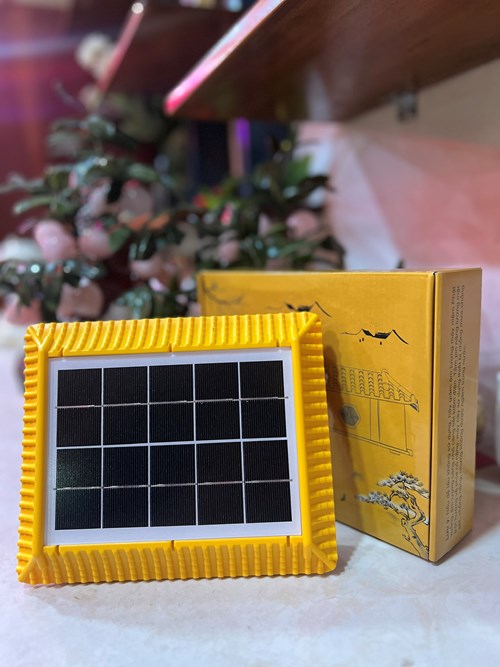 Máy NP Năng Lượng Mái Chùa