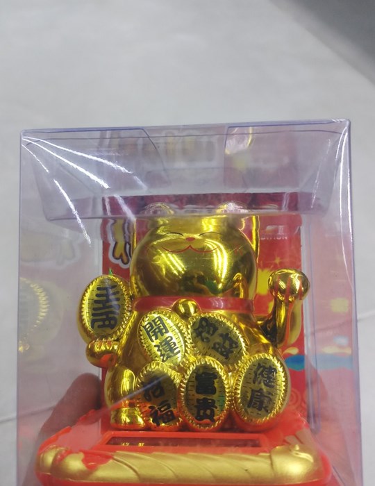 MÈO NGOẮC 23013
