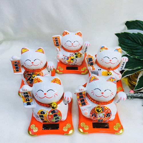 Mèo ngoắc NL050