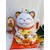 Mèo ngoắc tay 20 in
