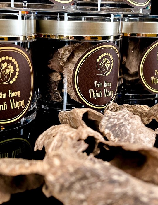 Miếng Giác Trầm Hương thô cao cấp