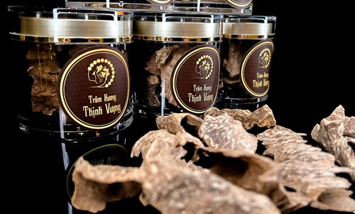 Miếng Giác Trầm Hương thô cao cấp