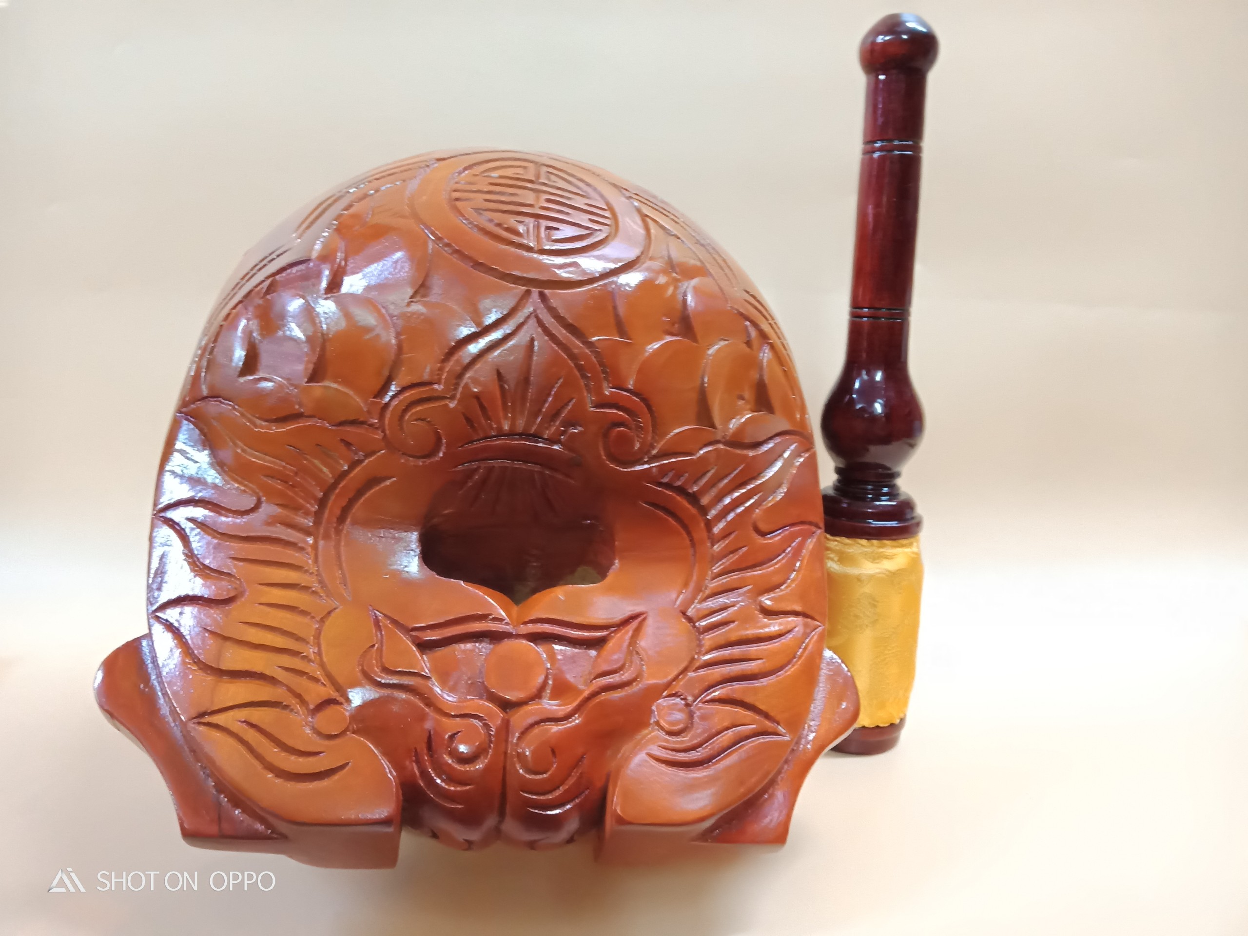 Mõ Huế 7T