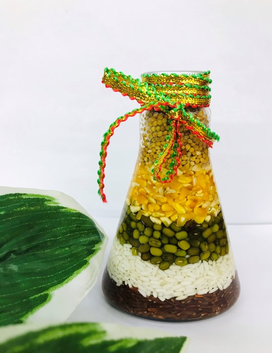Ngũ Cốc Chai tam giác 