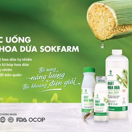 Nước uống mật hoa dừa SOKFARM