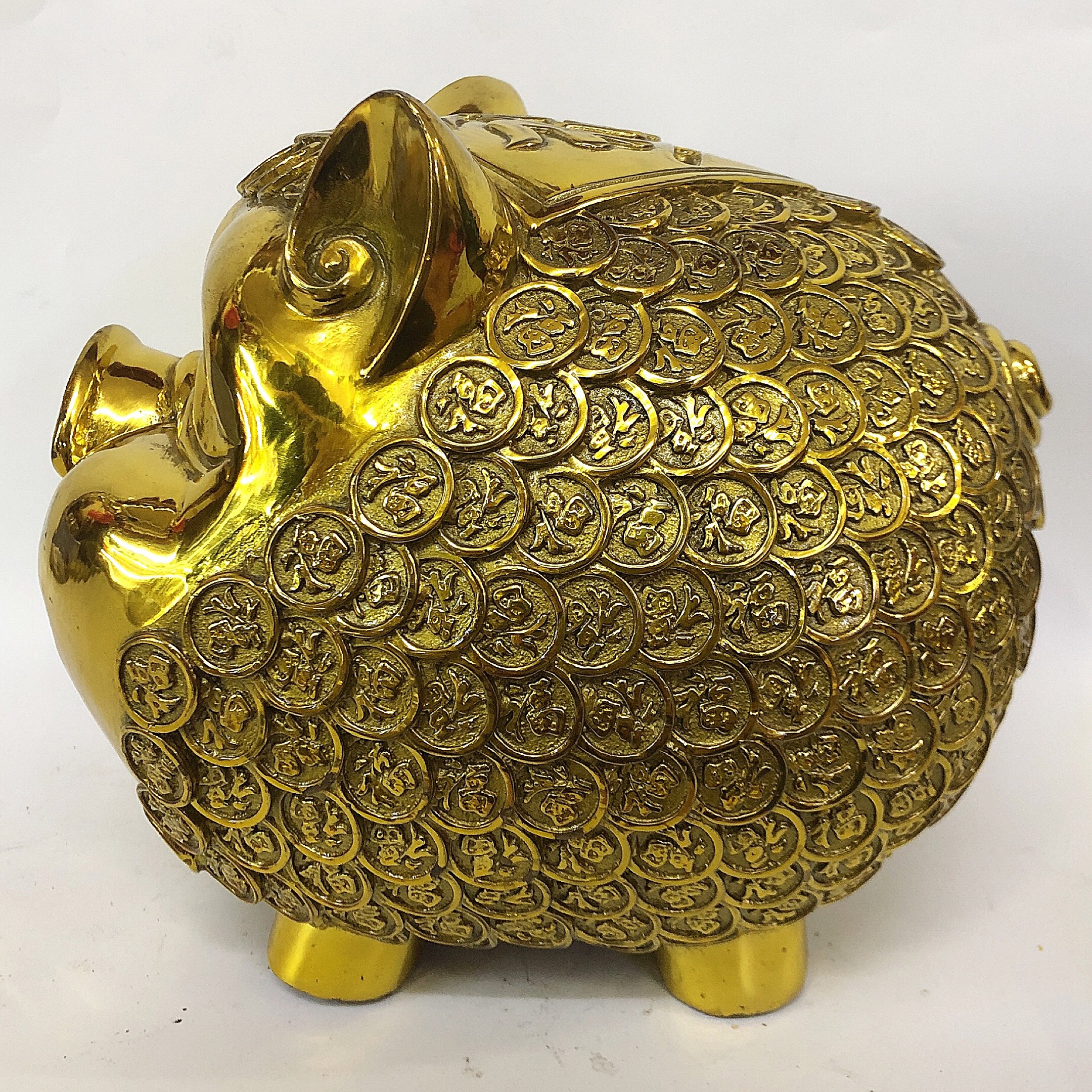 Heo Tròn Đồng Tiền 