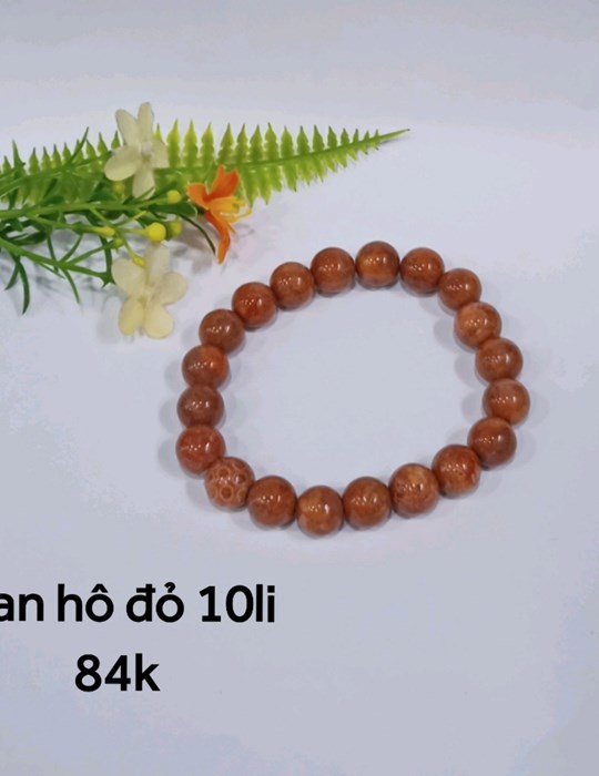 San Hô Đỏ 10li